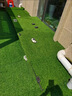 清雅仿真草坪地毯假草皮铺垫塑料户外人造球场人工围挡幼儿园绿色地垫 2厘米全新升级11针加密优质B级款 (1米宽10米长)10平方 实拍图