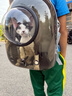 licheers猫包外出大号宠物背包便携太空舱猫笼狗袋双肩透气大容量猫咪书包 实拍图