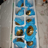 【热销百万单】正宗咸鸭蛋50g/枚饱满流油生鲜超市早餐新鲜即食 【活动专享】10枚 实拍图