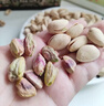 三只松鼠开心果500g/袋装 坚果炒货无漂白干果休闲零食品送礼 实拍图