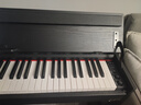 海蒂诗 电钢琴88键重锤电子钢琴儿童初学幼师专业成人家用数码立式钢琴 P-310木纹黑-蓝牙-全重锤-配琴凳 实拍图