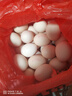 1号会员店One's Member Omega-3可生食标准鲜鸡蛋 30枚 单枚50g 源头直发 实拍图