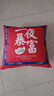 抱枕靠垫 办公室腰枕床头靠枕汽车腰靠卡通风可拆洗抱枕可机洗 一夜暴富 36cm*36cm 含枕芯 （单支装） 实拍图
