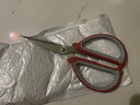 开学文具剪刀闹钟夜光闹钟计时器 【秒杀福利】家用剪刀红色中号 实拍图