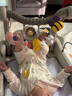 飒望【德国】婴儿玩具0-3-6个月宝宝学步车婴幼儿新生儿车百天见面礼 【升级摇铃】健身架+学步车【4合一电池版】 婴儿早教益智玩具脚踩钢琴 新生儿见面礼周岁礼 实拍图