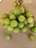 京鲜生 阳光玫瑰葡萄 青提4-4.5斤礼盒装 单果约10g 生鲜水果 生鲜礼盒 实拍图
