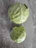 包菜新鲜卷心菜大头菜农户自种当季绿叶蔬菜绿甘蓝 绿甘蓝 5斤 实拍图