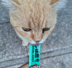 多特思猫零食猫条混合口味15g*100支+主食猫条添福小金条15g*40支 实拍图