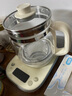 小熊（Bear）养生壶 1.5L煮茶壶烧水壶 可拆卸茶篮 煮茶器电水壶 恒温电热水壶 保温花茶壶 YSH-E15W7  实拍图