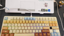 狼蛛（AULA）F87ProV2客制化无线机械键盘电竞游戏专用  蓝牙/2.4G/有线三模连接全键热插拔gasket结构办公键盘 F87ProV2大宗师版【焦糖拿铁轴】奶咖热升华 实拍图
