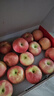 京地达洛川苹果水果陕西红富士节日送礼盒净重6斤单果85mm+源头直发包邮 实拍图