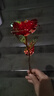 七彩炫光玫瑰花星空彩金浪漫情人节七夕送老婆女友生日礼物金箔 彩金红玫瑰花 【送它一朵永不凋零的爱意玫瑰】 实拍图