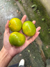 芝华仕（CHEERS）茶几电视柜客厅轻奢高级感2025新款小户型客厅大理石芝华士PT025 茶几 优先发货（详询客服） 实拍图
