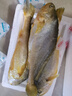 鸿顺【冰鲜】黄花鱼4条4斤 生鲜鱼类 宁德大黄鱼 地标产品 源头直发 实拍图
