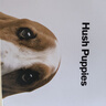 暇步士（Hush Puppies）皮带男针扣男士腰带优质荔枝纹牛皮休闲百搭裤带生日礼物送男友 实拍图