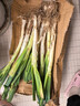 山东安丘铁杆大葱新鲜5斤10斤毛葱蔬菜蘸酱卷饼辛辣脆爽小葱大葱 5斤带皮大葱【净重5斤】 2500g 实拍图