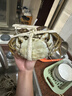 【活蟹】阳澄联合鲜活大闸蟹现货全母2.5-2.8两 12只生鲜螃蟹大只去绳足重海鲜礼盒 实拍图