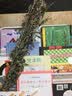 美好生活绘本：空冰箱 实拍图