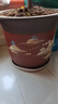 oeny紫砂花盆透气防烂根特大号口径种树种菜高颜值大花盆陶瓷花盆批发 红色泥绘高直筒特大号 紫砂 实拍图