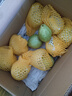 京鲜生白心芭乐净重4.5斤单果150g+ 番石榴 脆果 新鲜水果源头直发包邮 实拍图