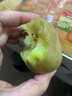 淳果一木 黄心猕猴桃 黄金奇异果金果猕猴桃河南 新鲜水果 生鲜 水果 12个 精选果 单果70-100克+ 实拍图