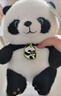威尔通（WELTSTON）毛绒玩具玩偶公仔抱枕布娃娃摆件儿童生日礼物女生 大熊猫公仔 实拍图