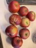 野凰现摘当季云南昭通丑苹果冰糖心苹果水果新鲜脆甜2025新苹果丑苹果 70-75mm中果 10斤净重（彩箱包装） 实拍图