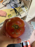 水果番茄西红柿自然成熟沙瓤皮薄新鲜蔬菜生鲜瘦身减脂可生吃 大果，净重 4.5斤 单果＞100g 实拍图