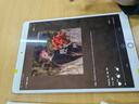 Apple苹果ipad9/10/Pro2022/21/20款 /air5/mini7/6二手平板电脑 iPad Pro 1代 10.5英寸 实拍图