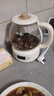 小熊（Bear）煮茶器煮茶壶 养生壶烹煮一体茶壶迷你蒸茶器 316L喷淋式不锈钢烧水壶黑茶茶具1升ZCQ-F10N7 实拍图