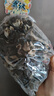 山东白背黑木耳干货特产精选头茬木耳山珍干货火锅凉拌食材批发 活动款【带箱1000g】精品木耳 精选【头茬】毛木耳 实拍图