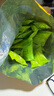 甘源翡翠绿蚕豆芥末蒜香酥香味508g坚果炒货兰花豆零食休闲食品 实拍图