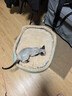 华元宠具（hoopet）猫窝四季通用猫咪床狗狗窝秋冬季保暖宠物沙发小型犬可拆洗睡垫子 实拍图