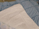 雅鹿·自由自在 牛奶绒纤维冬季被子双人保暖被芯棉被5斤150x200cm 蓝 实拍图