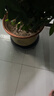 漫生活花托移动花盆托底盘花盆托底座花盆底托盘座带轮加厚400mm4轮大号 实拍图