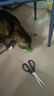 茨格曼猫咪玩具猫隧道自嗨解闷神器小猫钻洞迷宫通道逗猫球幼猫用品 实拍图