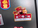 壹居长宁2025年新款蛇年中国风乔迁新居冰箱贴磁贴喜庆 新年富有冰箱贴 实拍图