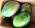 京鲜生 攀枝花凯特芒果 净重8.5斤 带箱9斤 单果400g+ 生鲜水果源头直发 实拍图