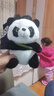 熊猫熊小熊猫玩偶儿童毛绒玩具娃娃花花大公仔生日礼物陪睡布娃娃抱抱熊 实拍图