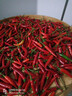 新鲜现摘小米辣美食辣椒朝天椒商超品质 5斤（特价） 实拍图