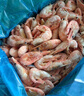 美加佳头籽熟冻北极甜虾净重3斤 90/120规格 头籽率50%  海鲜水产 实拍图