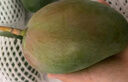 京鲜生 攀枝花凯特芒果 净重8.5斤 带箱9斤 单果500g+ 生鲜水果源头直发 实拍图