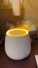 浅草火焰香薰机加湿器遥控家用卧室内香薰精油专用氛围灯生日礼物 实拍图