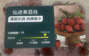 【产地直采】广东仙进奉荔枝约450g 实拍图