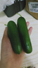 【超市品质】山东新鲜水果黄瓜嫩青瓜生吃蘸酱生鲜蔬菜减肥搭配 水果黄瓜 200g 试吃 实拍图