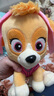 汪汪队立大功（PAW PATROL）毛绒公仔男孩女孩生日礼物玩具经典款天天公仔中号22.9CM 实拍图