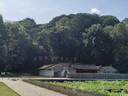 元气森林【肖战同款】0糖0脂0卡气泡水柠檬味480mL*15瓶碳酸整箱  实拍图