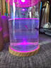 涵瑶伊笑桌面生态瓶创意办公室钢化玻璃微景缸旋转卧室鱼缸斗鱼缸迷你小型 圆旋转缸（空缸） 实拍图