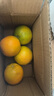 京喜加伦晚夏橙脐橙手剥橙 带箱1斤小果60-65mm 实拍图