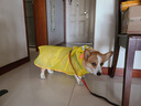 欢宠网狗狗雨衣全包四脚宠物狗小狗大型犬柯基雨披雨天遛狗防水防湿护肚 实拍图